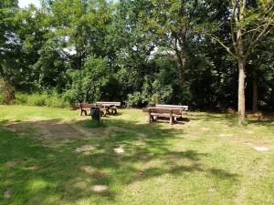 Grillplatz-200619-002