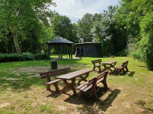 Grillplatz-200619-003